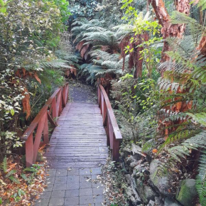 North Dunedin Woodland Sanctuary